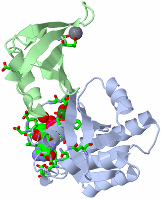 Image Asym./Biol. Unit - sites