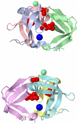 Image Asymmetric Unit