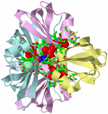 Image Biol. Unit 1 - sites