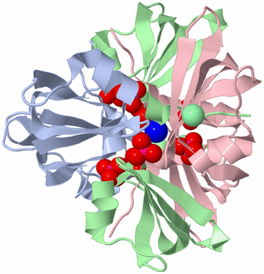 Image Biological Unit 2