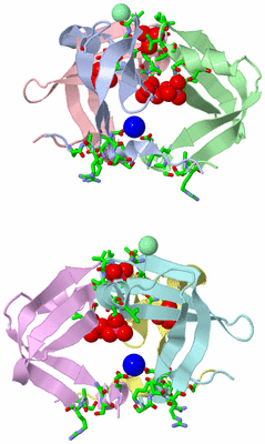 Image Asym. Unit - sites