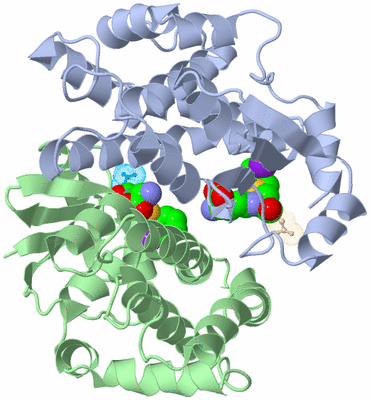 Image Biological Unit 1