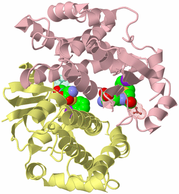 Image Biological Unit 2