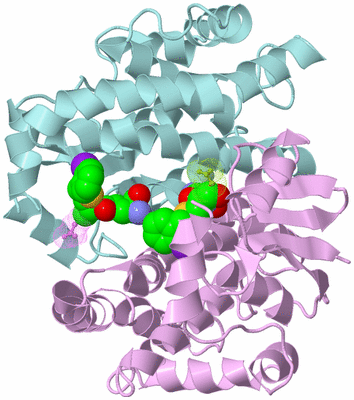 Image Biological Unit 3