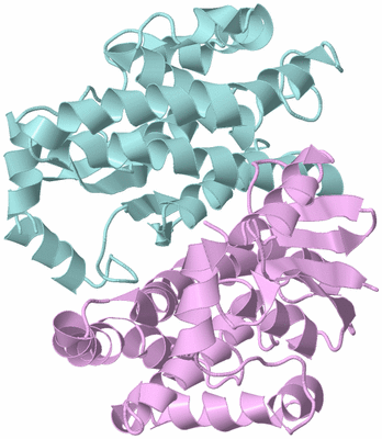 Image Biological Unit 3