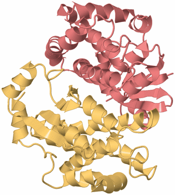 Image Biological Unit 4