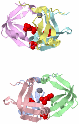 Image Asymmetric Unit