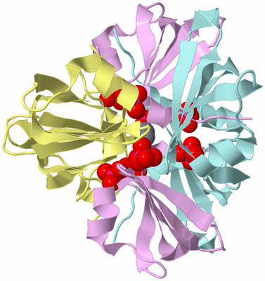 Image Biological Unit 2