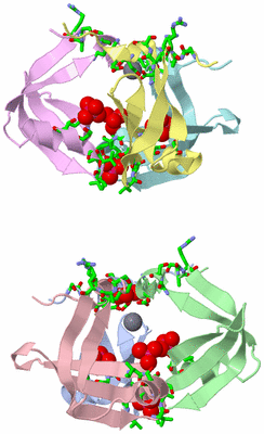 Image Asym. Unit - sites