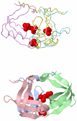 Image Asymmetric Unit