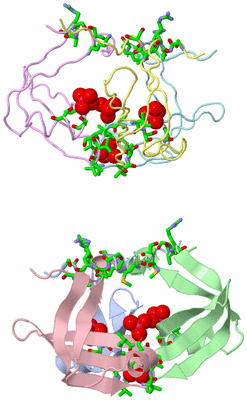 Image Asym. Unit - sites