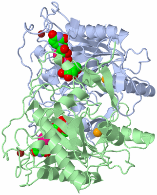 Image Biological Unit 1