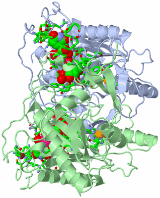 Image Biol. Unit 1 - sites