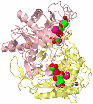 Image Biological Unit 2