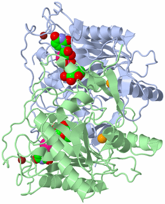 Image Biological Unit 1