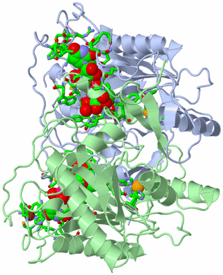 Image Biol. Unit 1 - sites