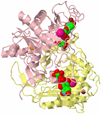 Image Biological Unit 2