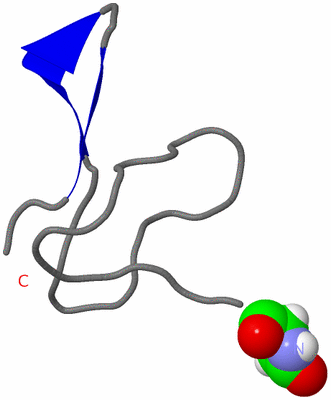 Image NMR Structure - model 1
