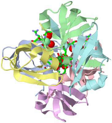 Image Asym./Biol. Unit - sites