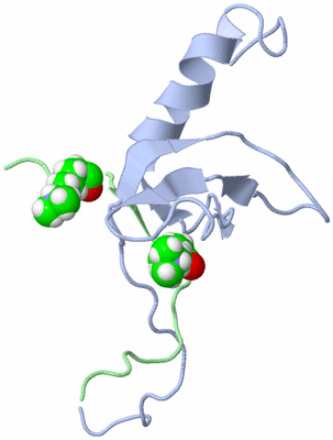 Image NMR Structure - model 1