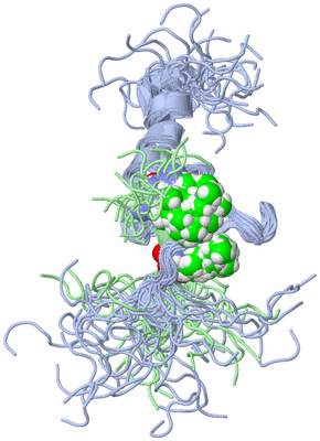 Image NMR Structure - all models