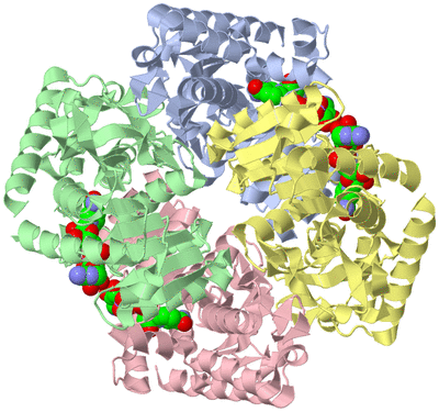 Image Asym./Biol. Unit