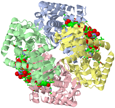 Image Asym./Biol. Unit - sites