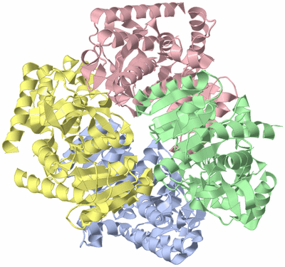 Image Asym./Biol. Unit