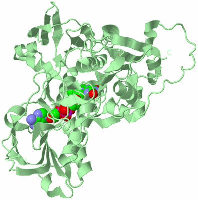 Image Biological Unit 2