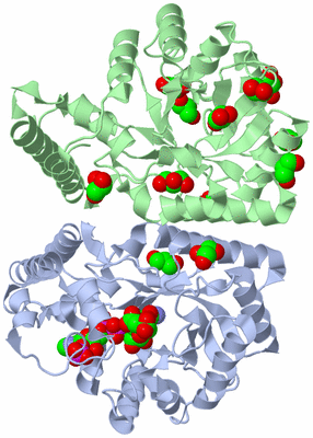 Image Asym./Biol. Unit