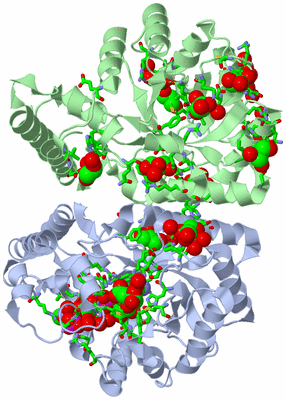 Image Asym./Biol. Unit - sites