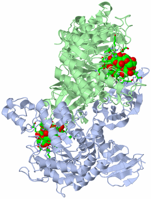 Image Asym./Biol. Unit - sites