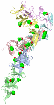 Image Asymmetric Unit