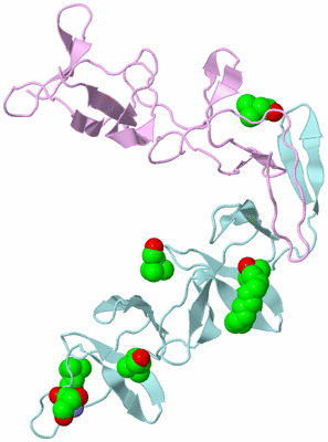 Image Biological Unit 3