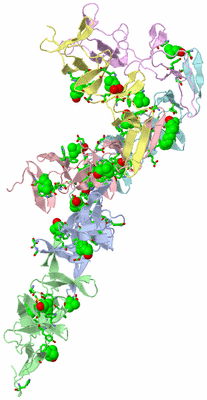Image Asym. Unit - sites