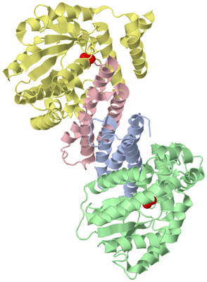 Image Asym./Biol. Unit