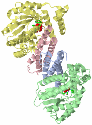 Image Asym./Biol. Unit - sites