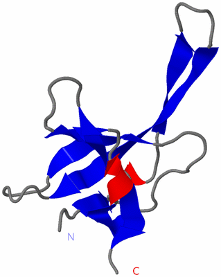 Image Asymmetric Unit