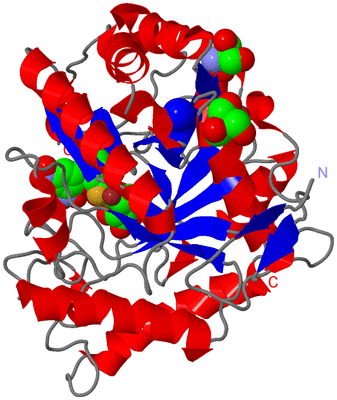 Image Asym./Biol. Unit