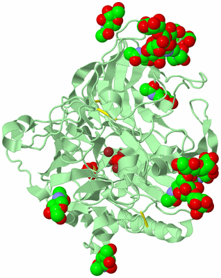 Image Biological Unit 2