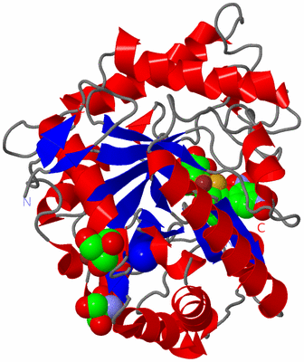 Image Asym./Biol. Unit