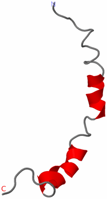 Image NMR Structure - model 1