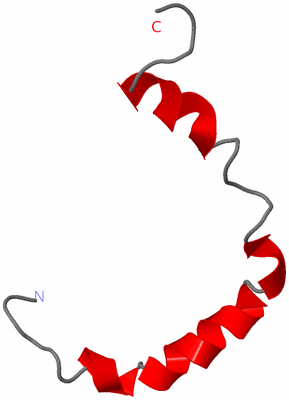 Image NMR Structure - model 1