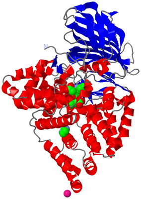 Image Asym./Biol. Unit