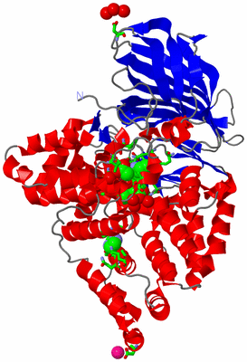 Image Asym./Biol. Unit - sites