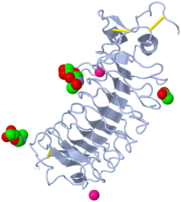 Image Biological Unit 1