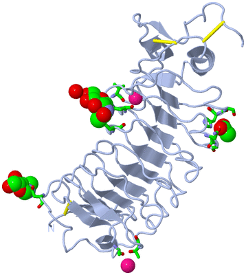 Image Biol. Unit 1 - sites