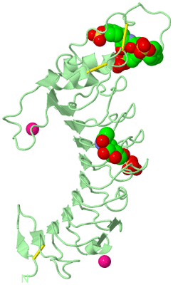 Image Biological Unit 2