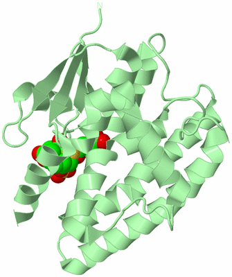 Image Biological Unit 2