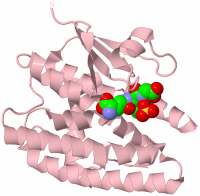 Image Biological Unit 3